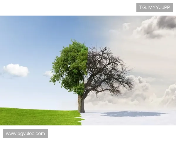 四季娱乐平台注册：体验四季交替中的独特活动与精彩时刻